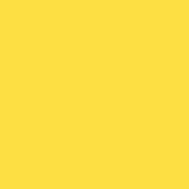 couleur-jaune-vestiaire-biplace-2-cases