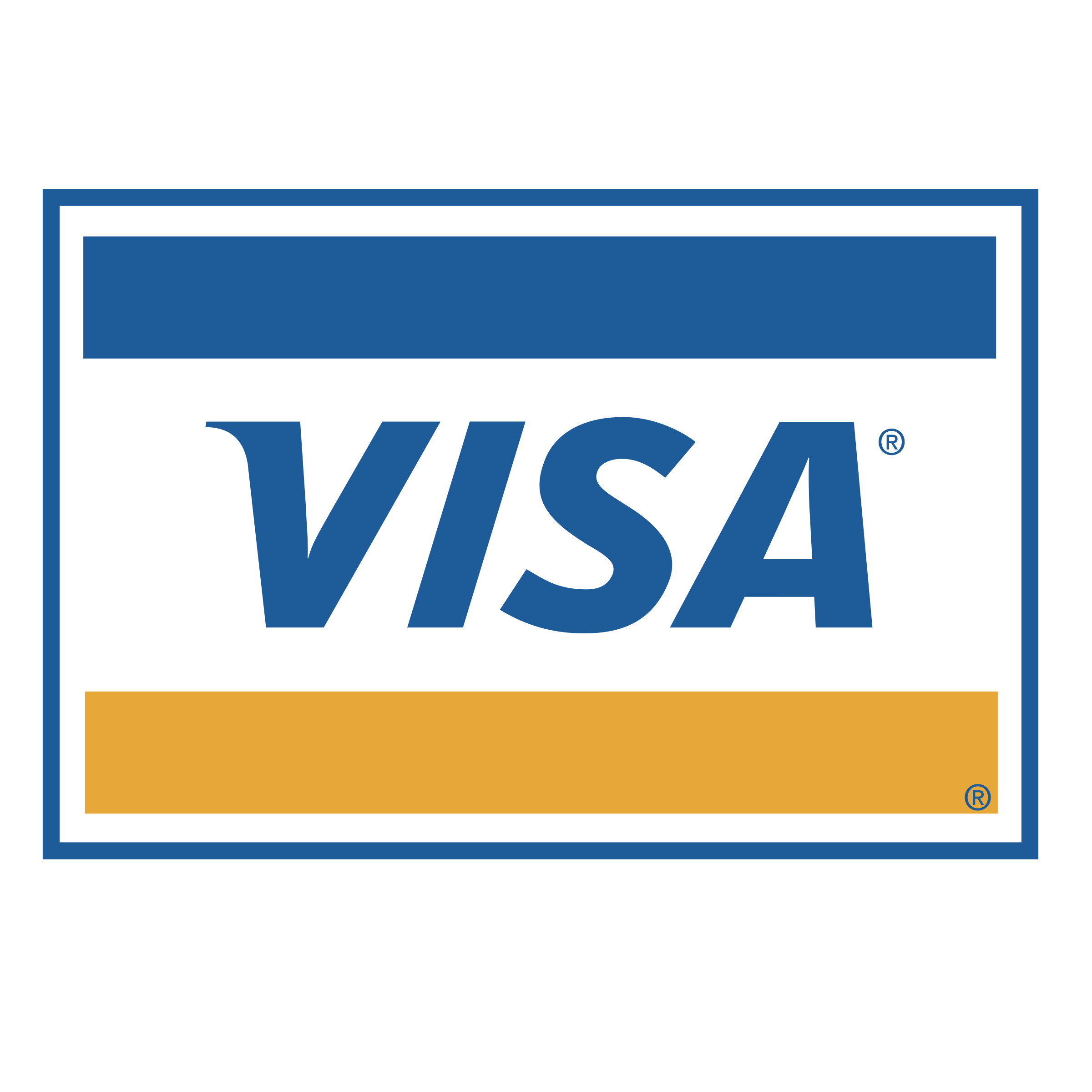 paiement sécurisé carte bancaire visa